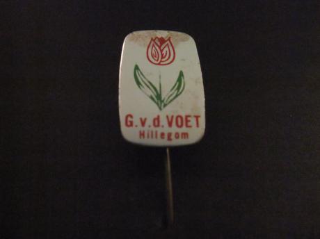 G. Van der Voet Hillegom tulpen